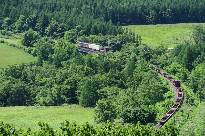 r2025.06.24-da448.jpg