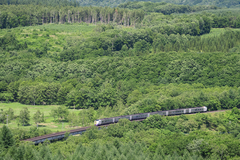 r2025.06.24-da479.jpg