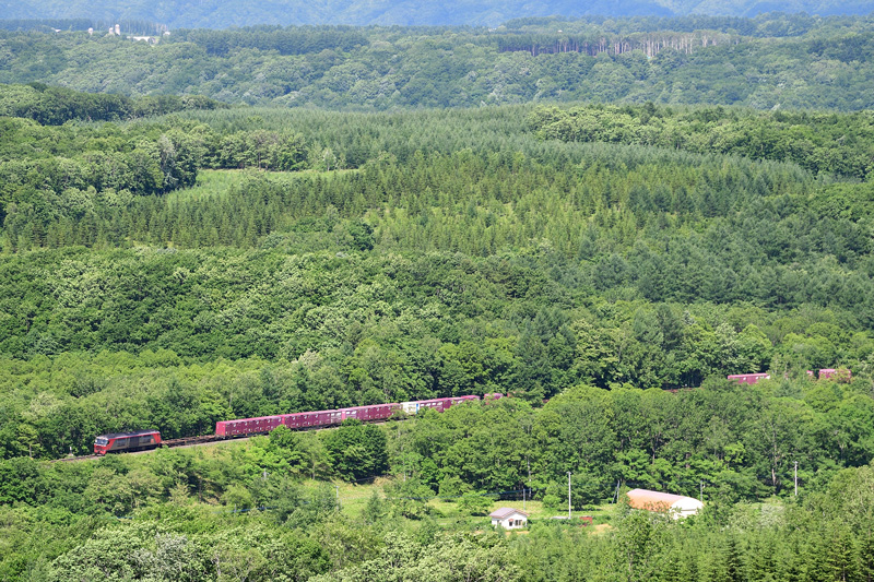 r2025.06.24-da528.jpg