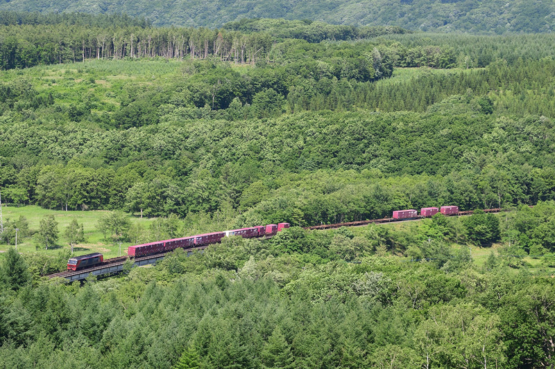 r2025.06.24-da576.jpg