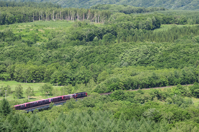 r2025.06.24-da606.jpg