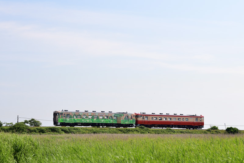 r2025.06.25-da118.jpg