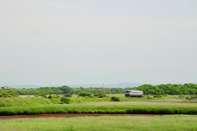 r2025.06.25-da333.jpg