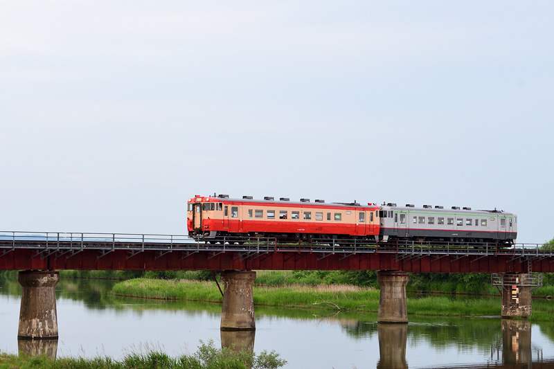 r2025.06.25-da546.jpg