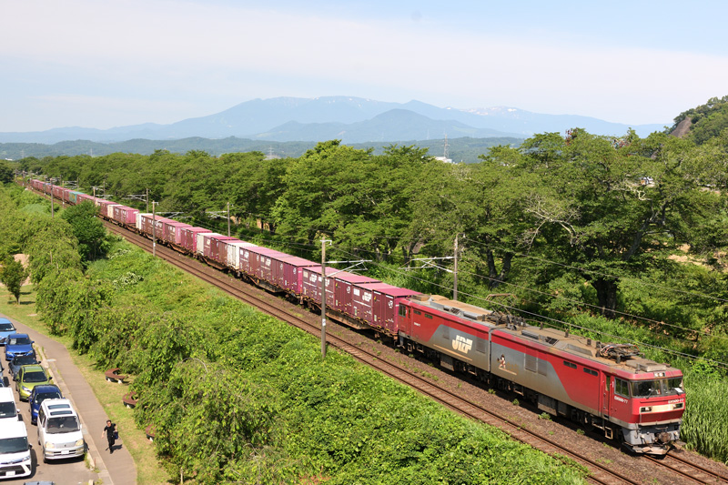 r2025.06.29-d6087.jpg