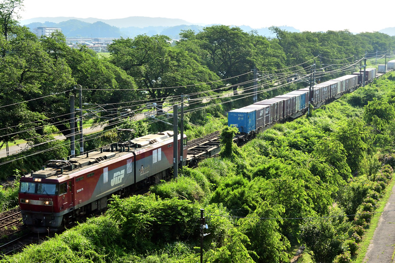 r2025.06.29-d9006.jpg