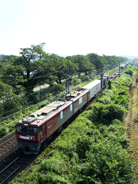 r2025.06.29-d9028.jpg