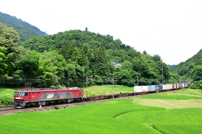 r2025.06.30-d6088.jpg
