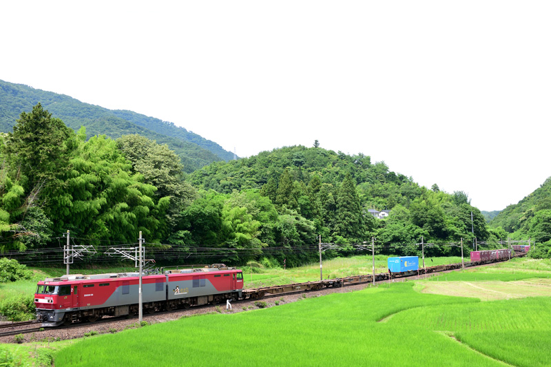 r2025.06.30-d6105.jpg