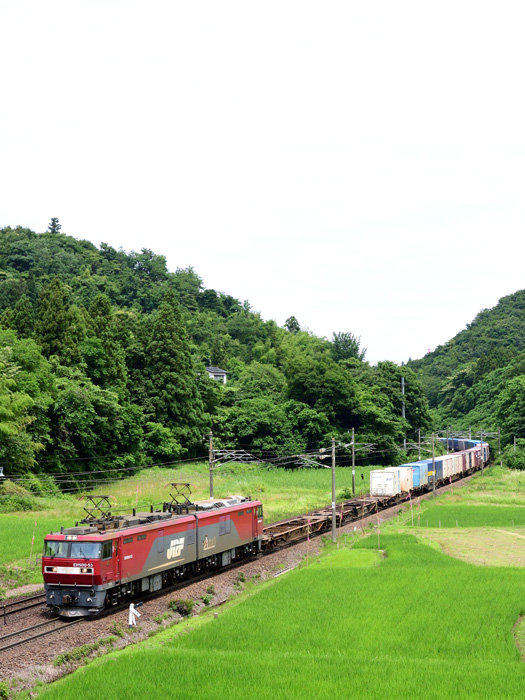 r2025.06.30-d9039.jpg