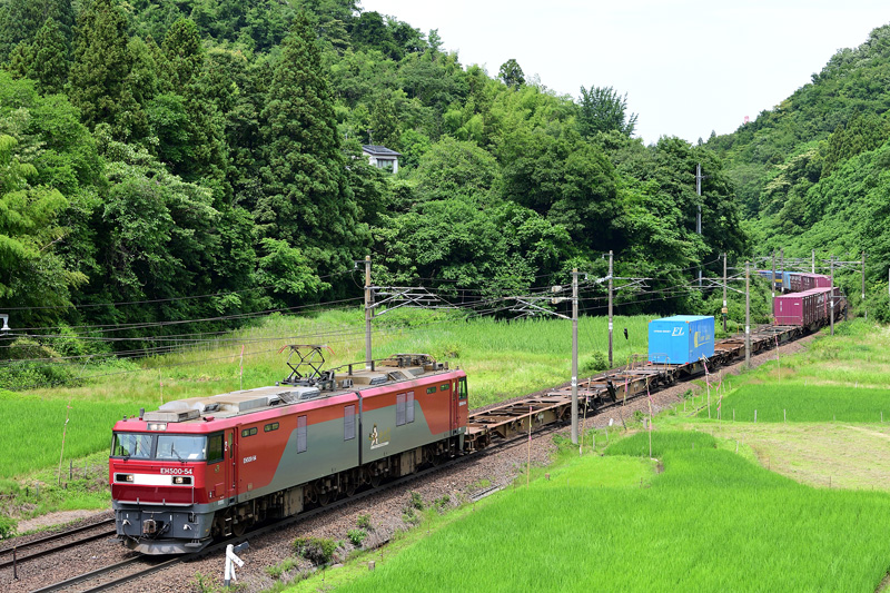 r2025.06.30-da095.jpg