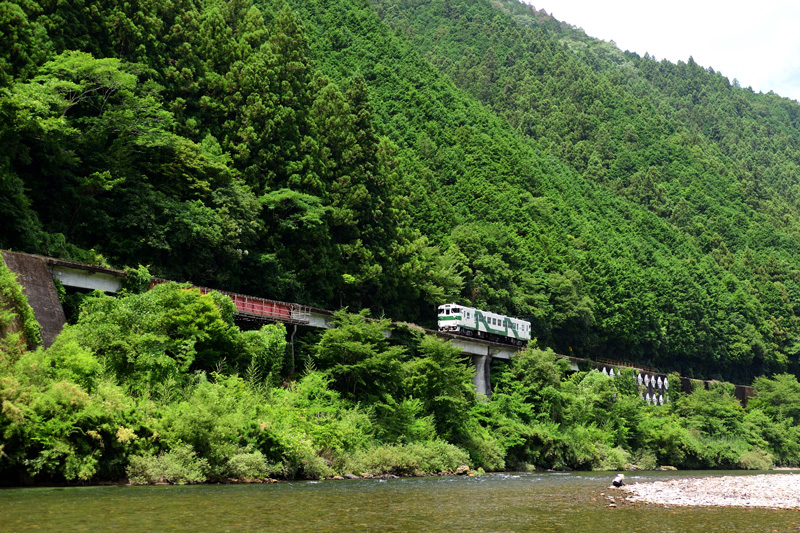 r2025.07.12-d6020.jpg