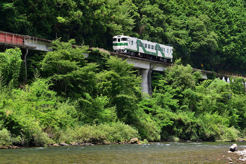 r2025.07.12-da115.jpg
