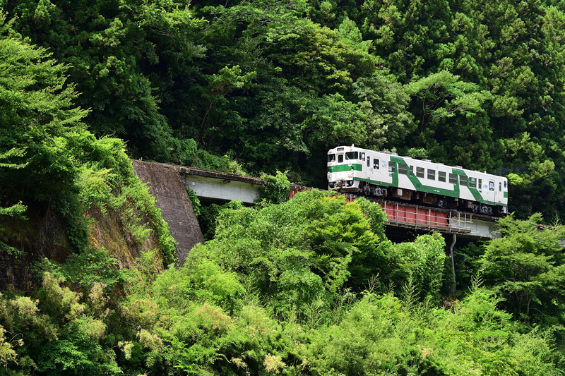 r2025.07.12-da135.jpg