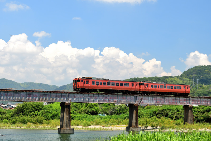 r2025.07.12-da167.jpg