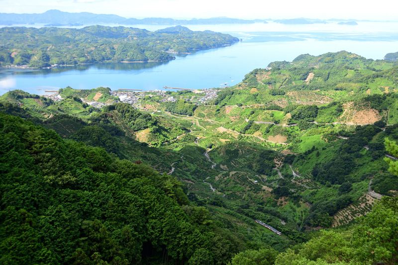 r2025.07.22-d6040.jpg