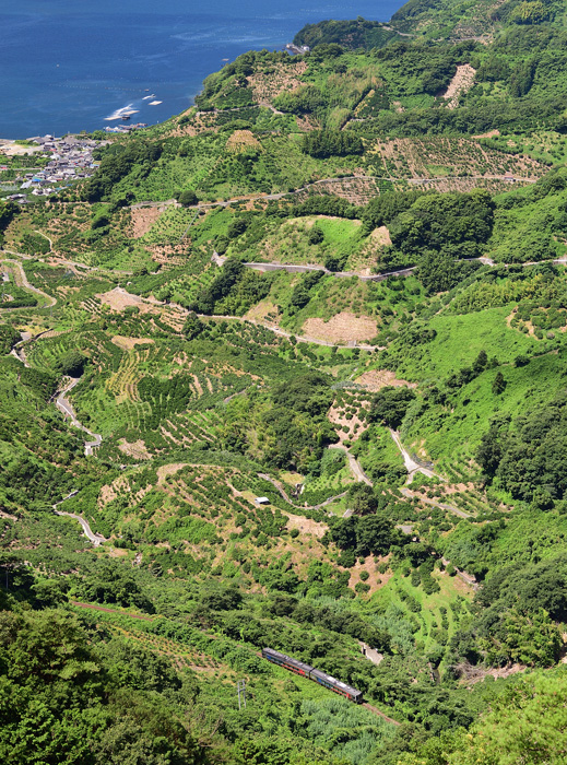 r2025.07.22-da119.jpg