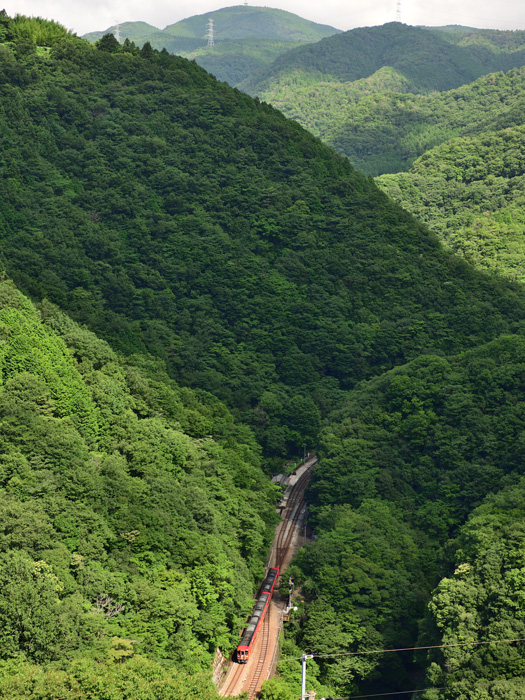 r2025.07.23-d6011.jpg