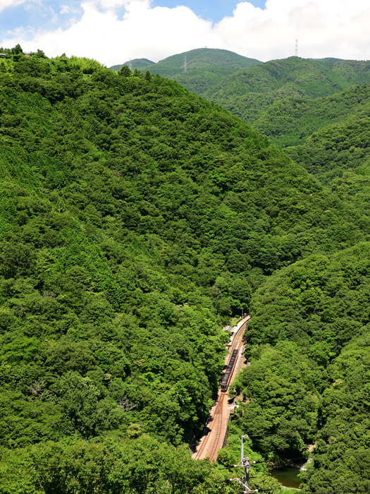 r2025.07.23-d6027.jpg