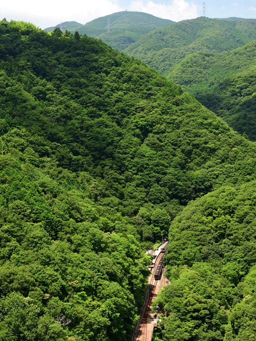 r2025.07.23-d6087.jpg