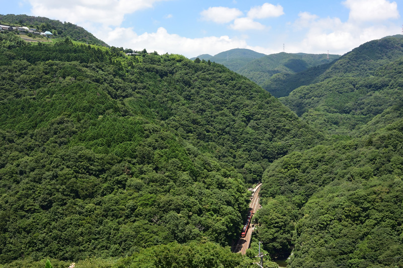 r2025.07.23-d9101.jpg