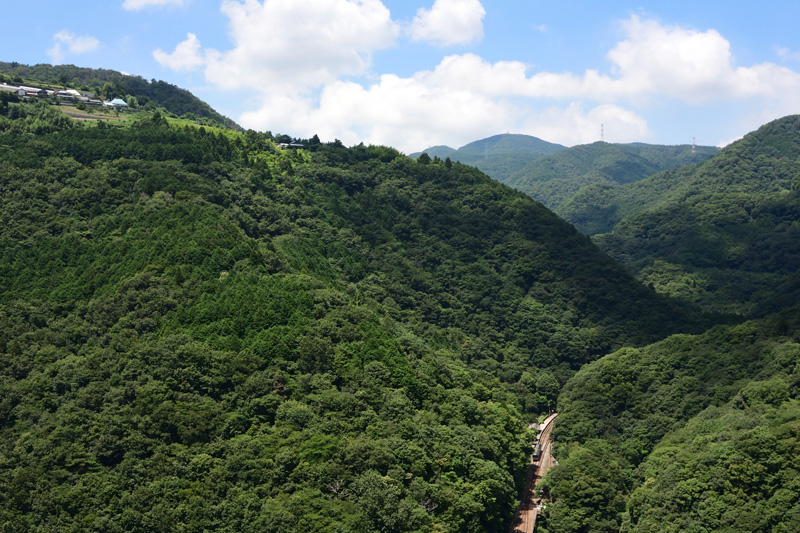 r2025.07.23-d9120.jpg