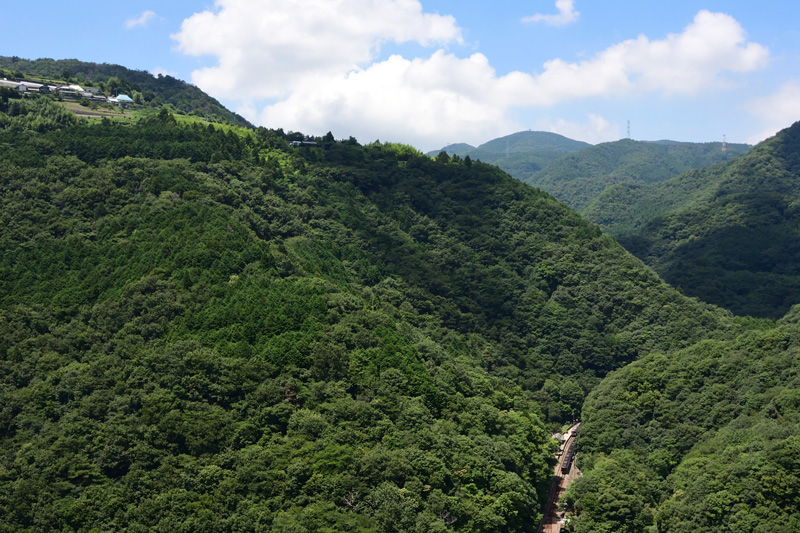 r2025.07.23-d9138.jpg
