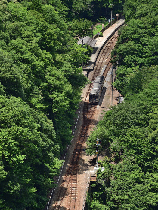 r2025.07.23-da225.jpg