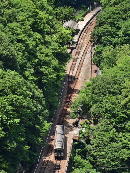 r2025.07.23-da264.jpg