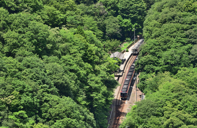 r2025.07.23-da310.jpg