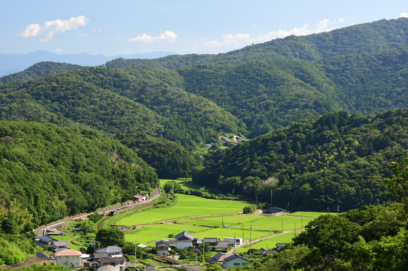 r2025.07.29-d6015.jpg
