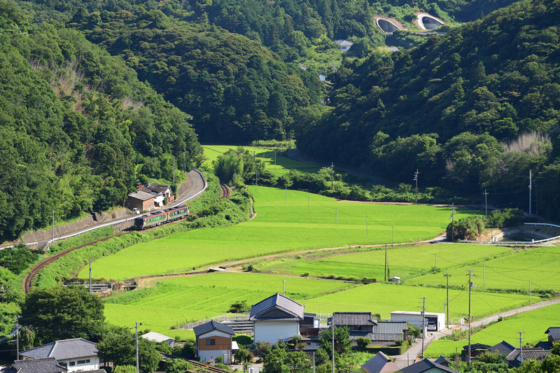 r2025.07.29-da045.jpg