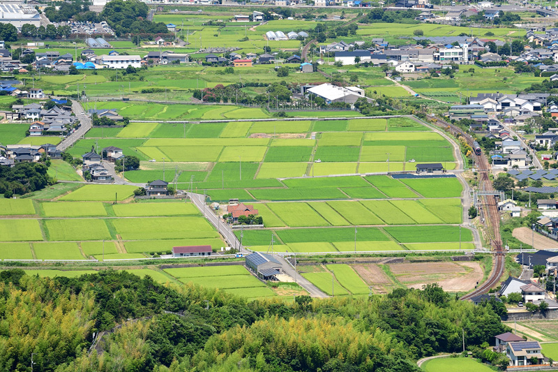 r2025.07.30-da081.jpg