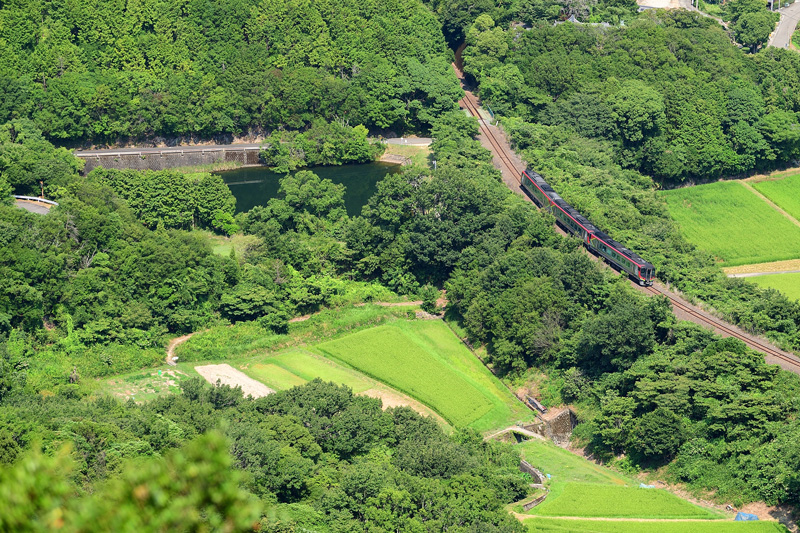 r2025.07.31-da294.jpg
