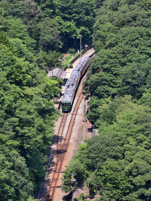 r2025.08.01-da183.jpg