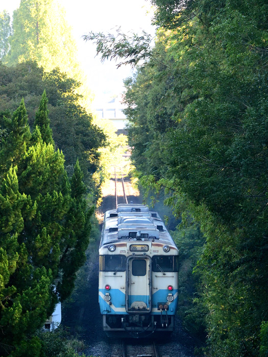 r2025.08.21-d9076.jpg