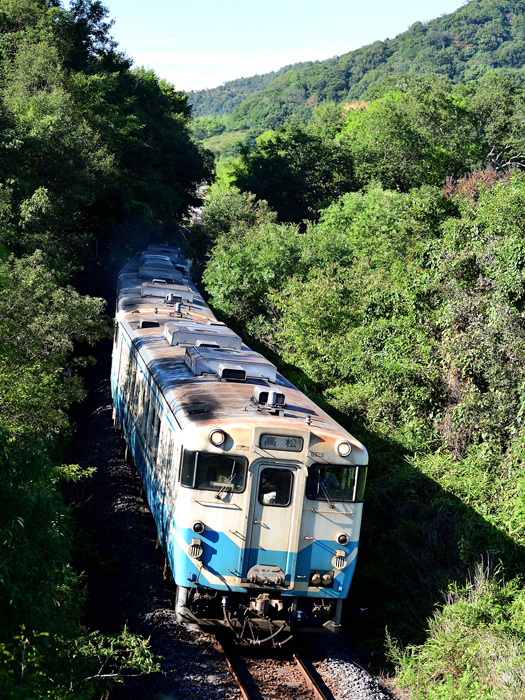 r2025.08.21-da059.jpg