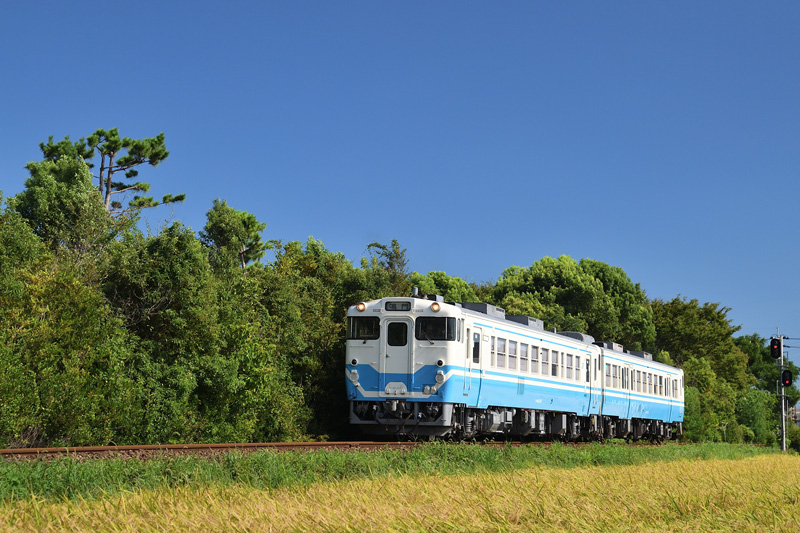 r2025.08.21-da197.jpg