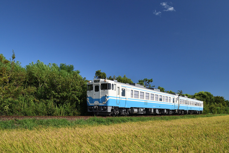 r2025.08.21-da216.jpg