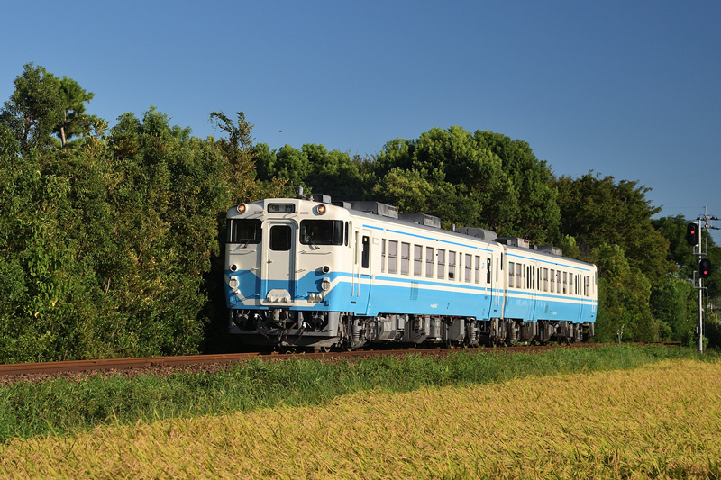 r2025.08.21-da258.jpg