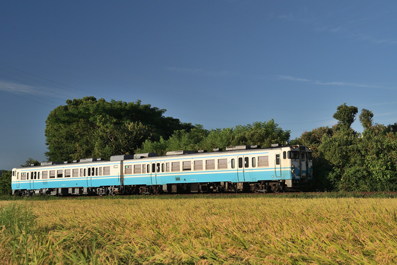 r2025.08.21-da306.jpg