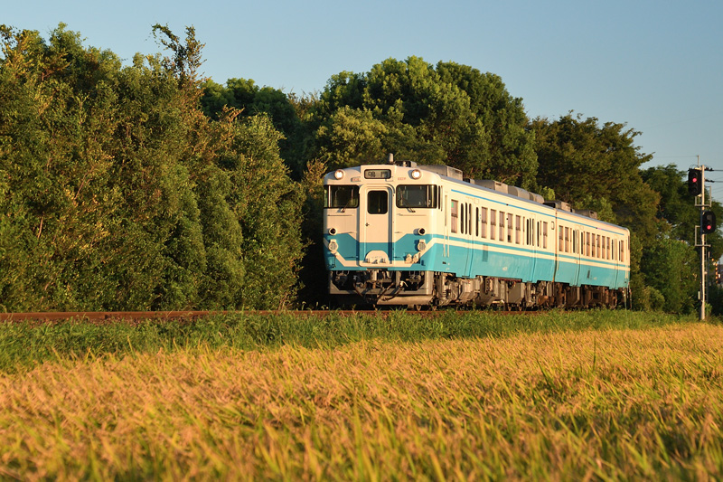 r2025.08.21-da357.jpg