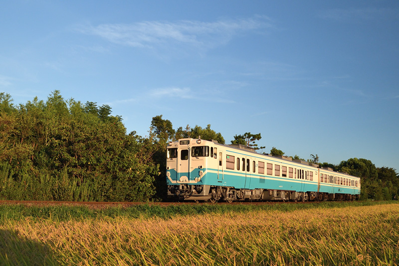 r2025.08.21-da384.jpg
