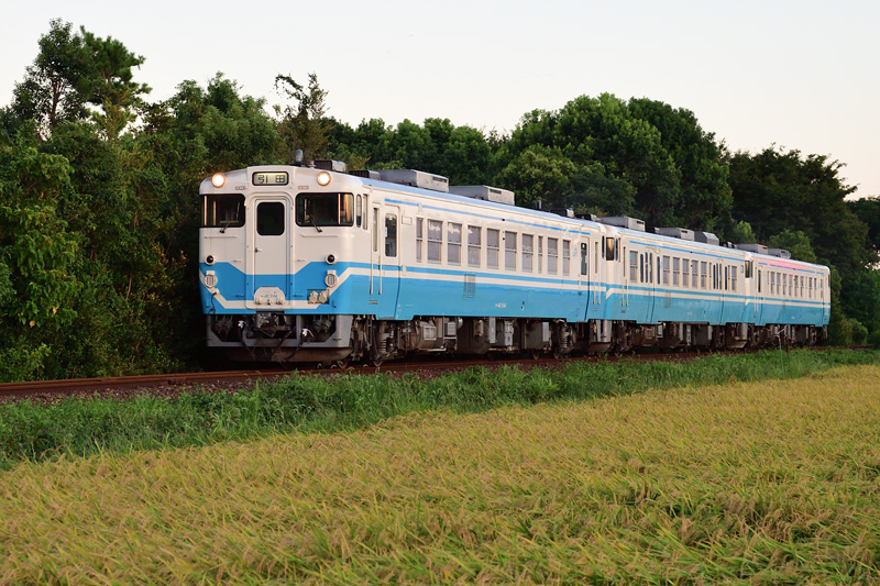 r2025.08.21-da432.jpg