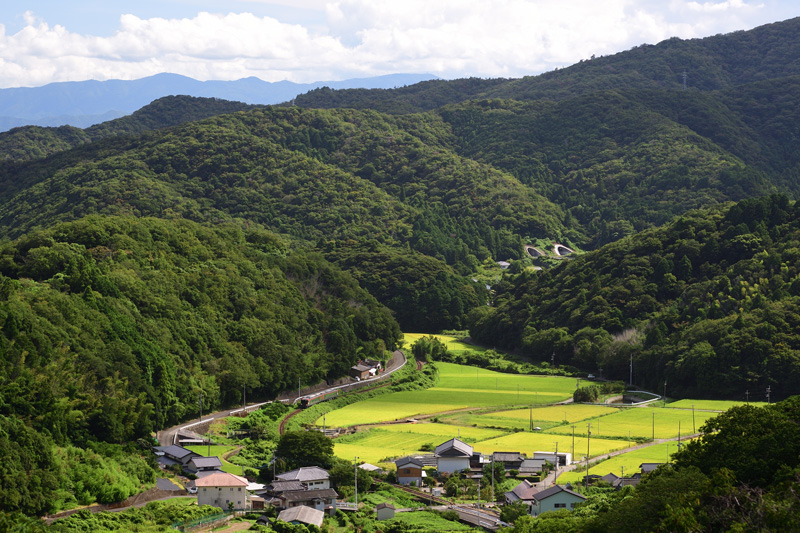 r2025.08.22-d6115.jpg