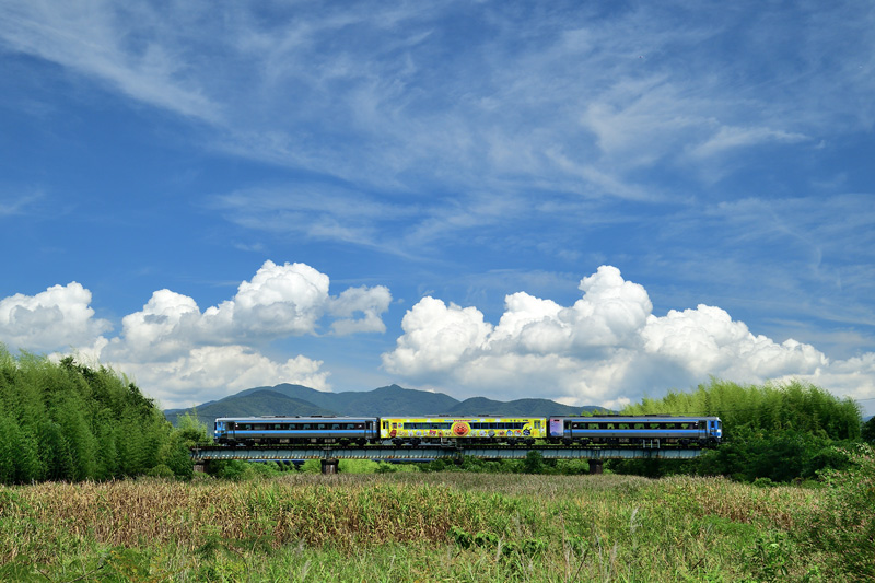 r2025.08.22-da211.jpg