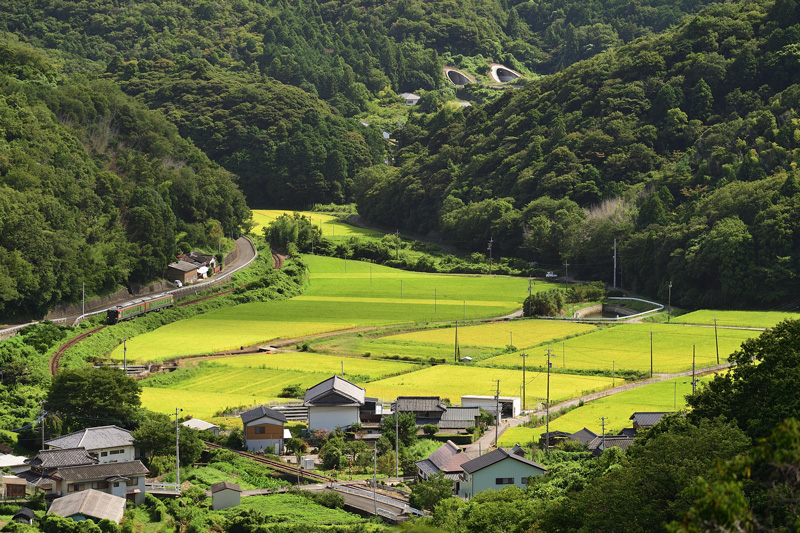 r2025.08.22-da248.jpg