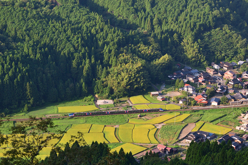 r2025.08.23-d6001a.jpg