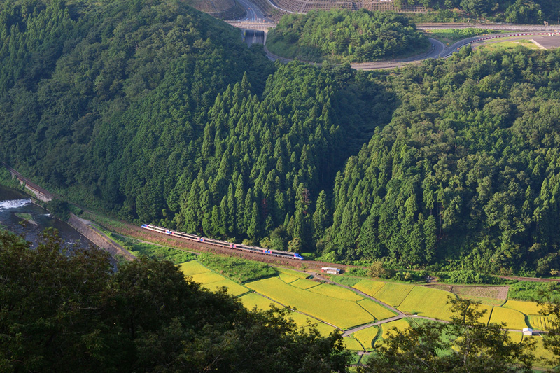 r2025.08.23-d6008.jpg
