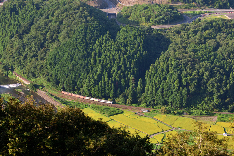 r2025.08.23-d6042.jpg